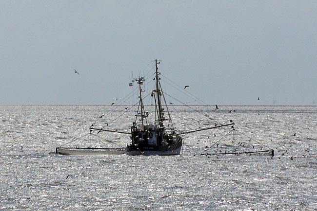 Büsum - fishing cutter