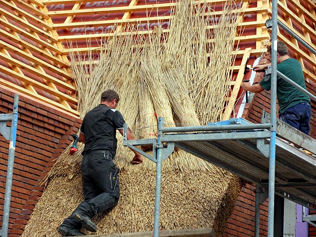 Büsum - Roofers at work