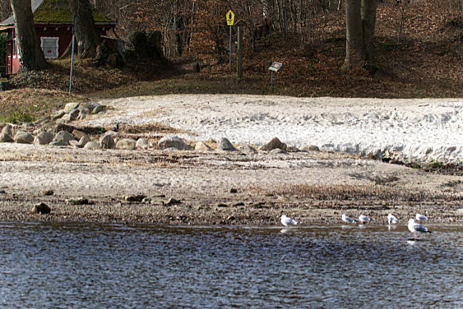 Stretch of beach next to the mouth of the Lachsbach in Ostseebad; behind it, a small forest extends across the steep slope/high bank - Bremen sehenswert - distant places