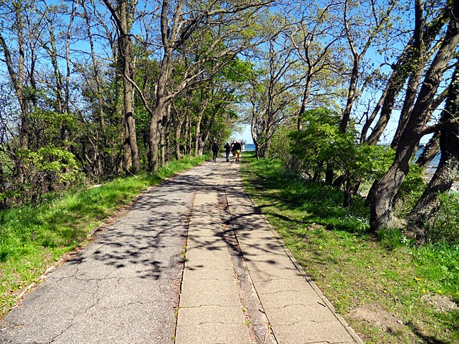Strande -Path along the water leading to the Bühlker Lighthouse
