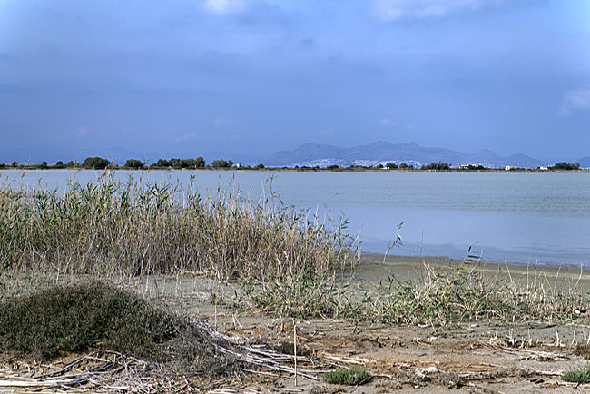 Kos in Greece - Salzsee Alikes