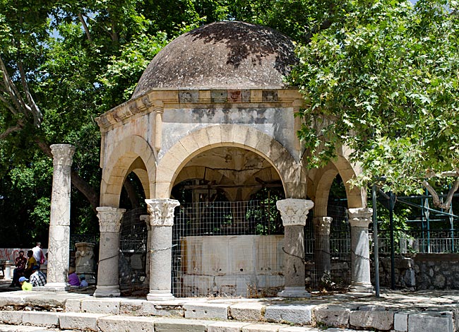 Kos Town in Greece - mighty Plane Tree of Hippocrates