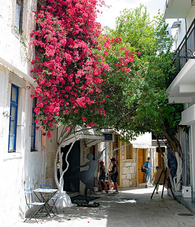 Kos Town in Greece - Bougainvillea in einer Einkaufsstraße