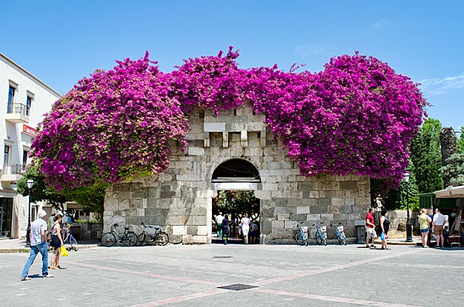 Kos Town in Greece - Tor der Steuern