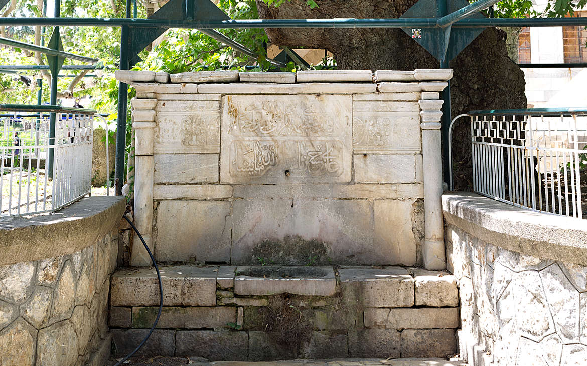 Plane Tree of Hippocrates - Kos Travel Guide - distant places
