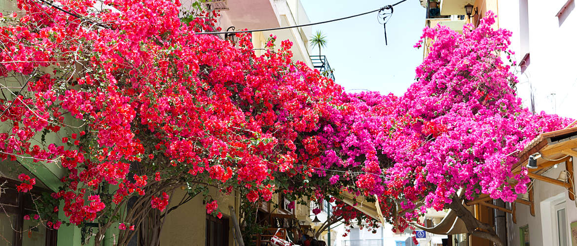 Kos Travel Guide - distant places