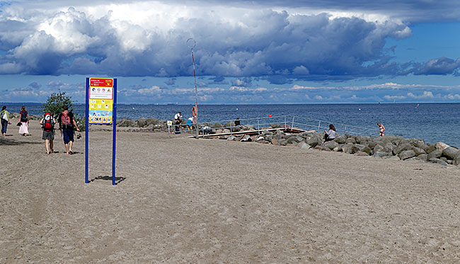 Niendorf - Timmendorfer Strand - abgestorbener Baumstamm am Brodtener Ufer