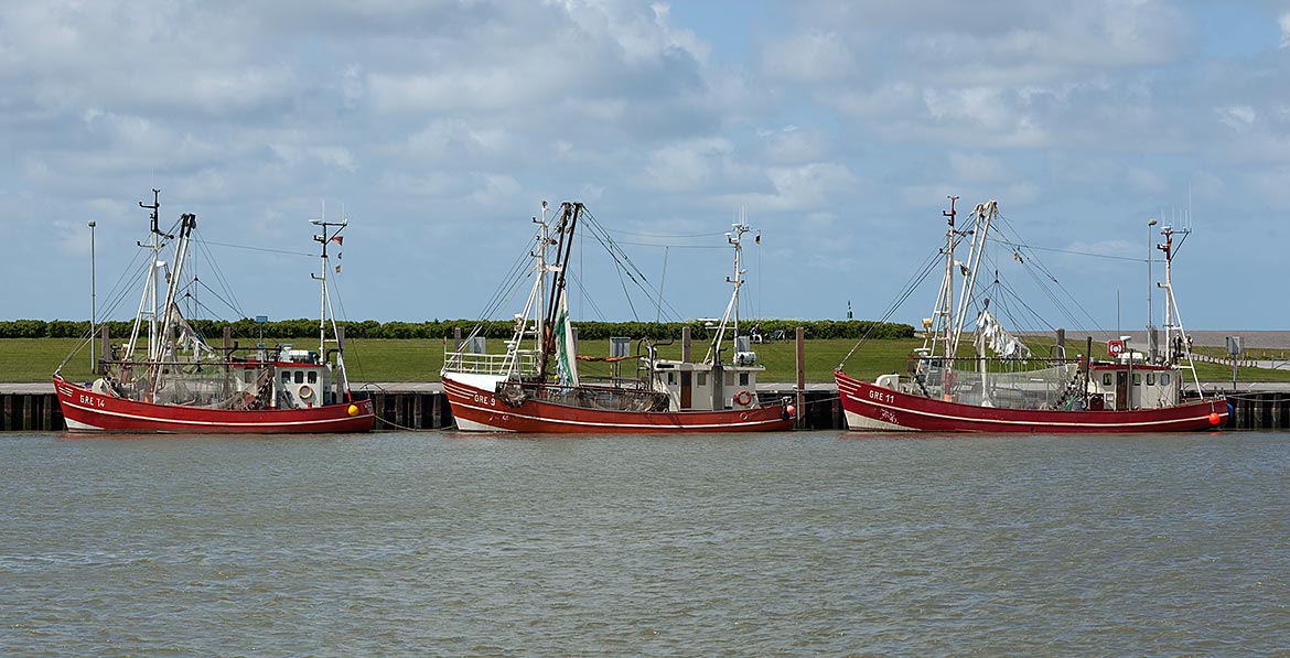 Norden-Norddeich - Cutter
