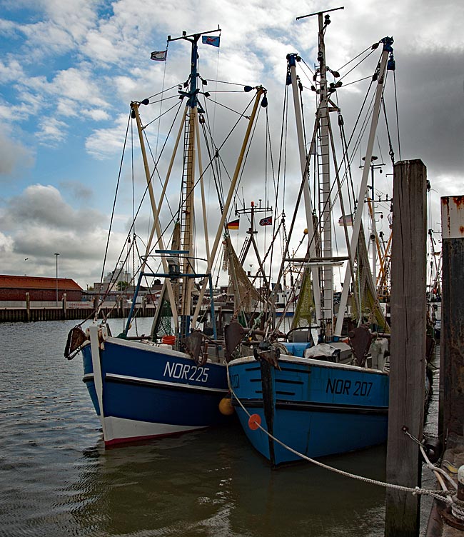-Norden-Norddeich - Cutter in the Harbor of Norddeich