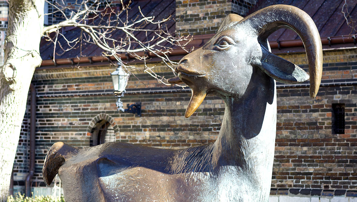Hanseatic city of Rostock Travel Guide - Goat - distant places