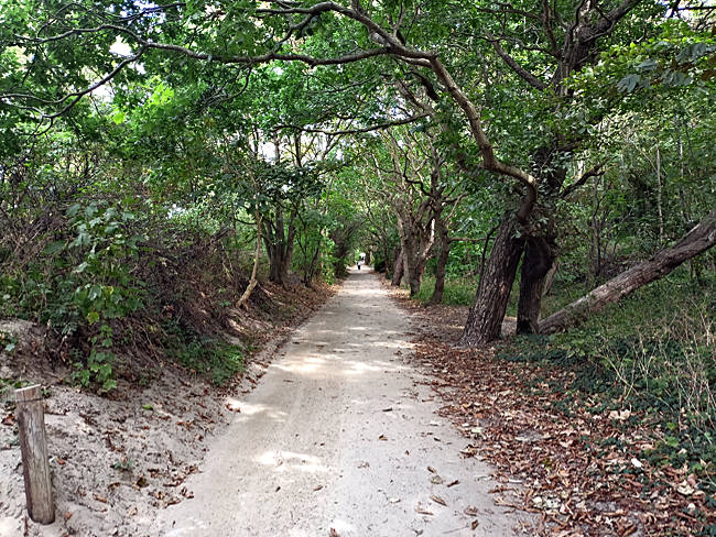 Rostock - Warnemünde - planetary hiking path