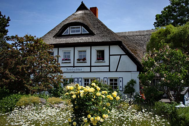 Middelhagen on Rügen island - Thatched roof house