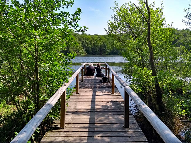 Rügen - The Black Lake in Granitz