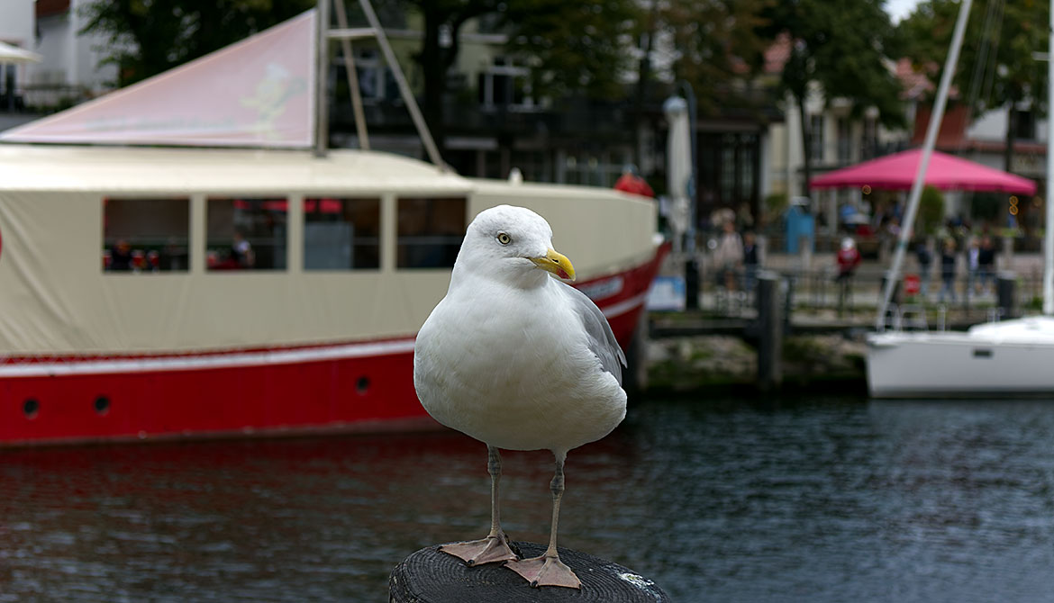 Hanseatic city of Rostock Travel Guide - Warnemünde - distant places
