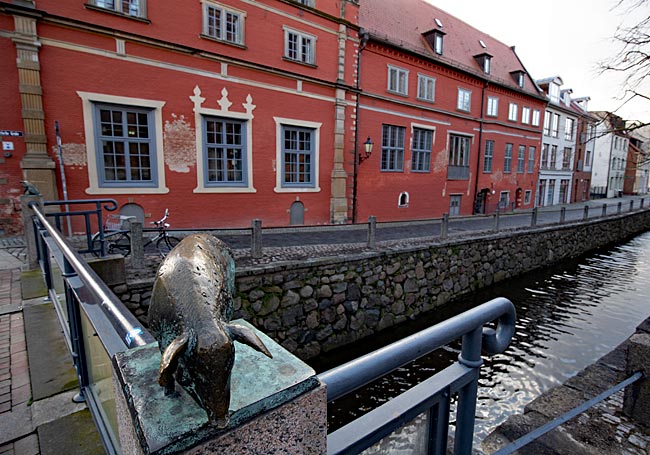 Wismar - One of the four pigs at Schweinsbrücke, with the Schabbellhaus behind it