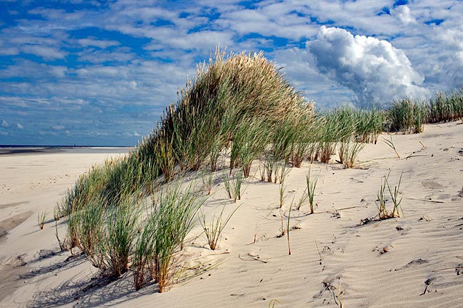 The East Frisian Island of Wangerooge