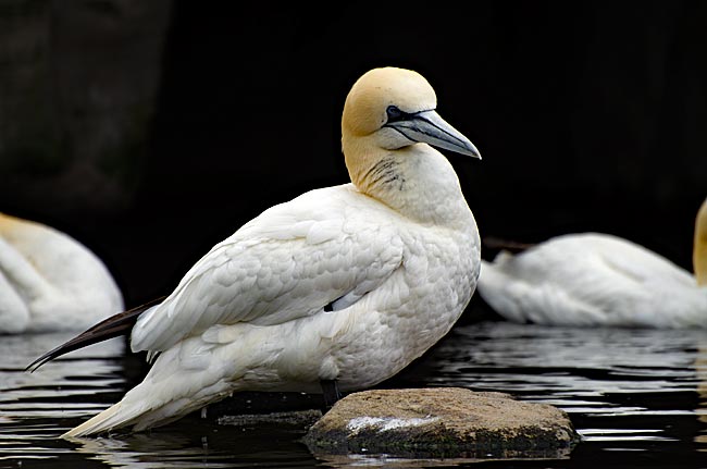 Zoo am Meer - Bremen sehenswert