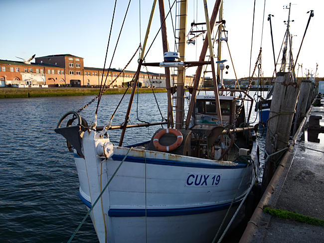 Cuxhaven - noch gibt es sie, Fischkutter im alten Fischereihafen