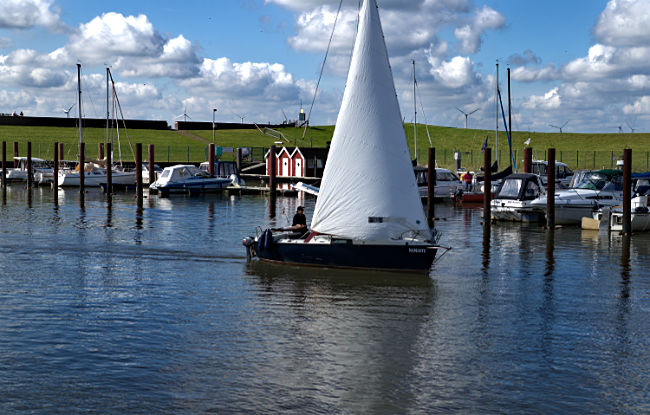 Dangast - Marina im Hafen