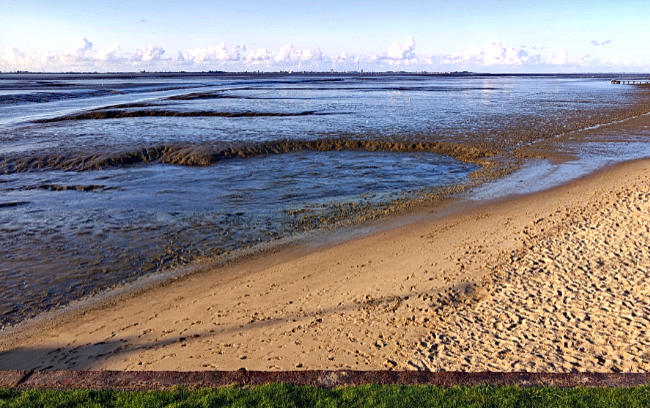 Dangast - Meeresboden bei Ebbe
