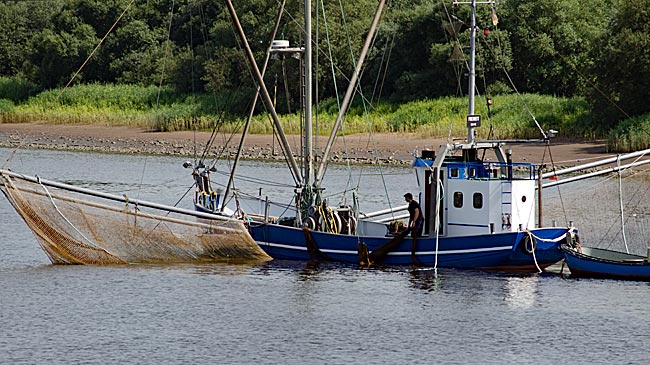 Flussfischer bei Brake an der Unterweser - Bremen sehenswert