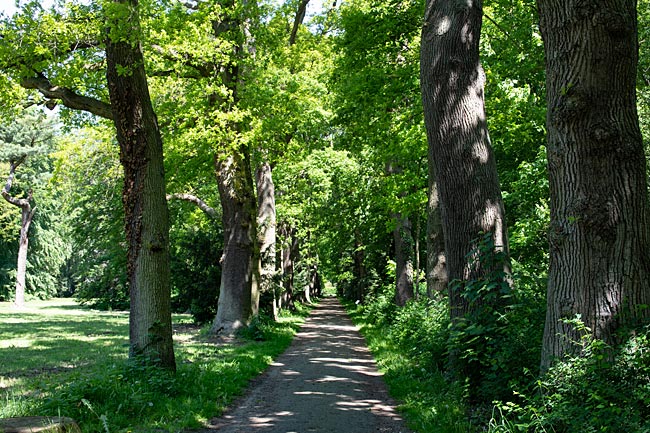 Bremen - Menke-Park in Horn-Lehe