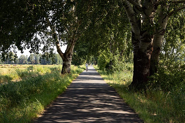 Auf dem autofreien Jan-Reiners-Weg durch das Hollerland