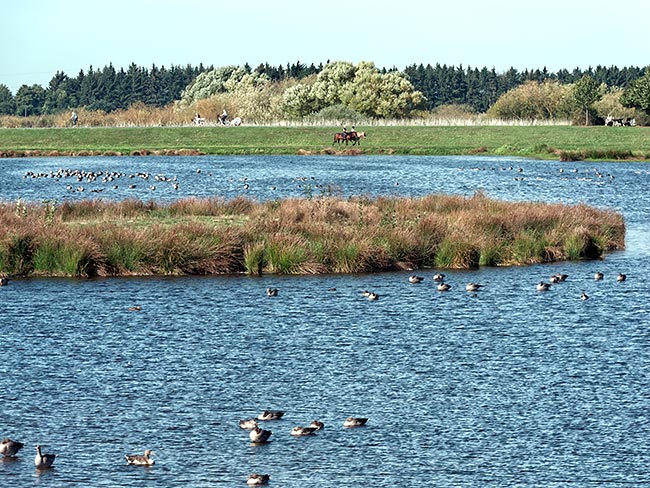 Kreuzdeichsee in Borgfeld