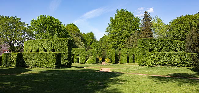 Heinekens Park in Oberneuland - charakteristische Bepflanzung mit dem bereits 1770 angelegten Heckenrondell aus 6,25 Meter hohen Hainbuchen - Bremen sehenswert