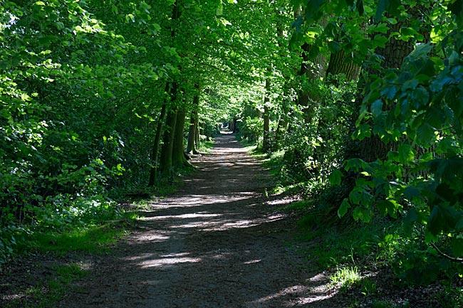 Höpkensruh - Weg durch den Park - Bremen sehenswert