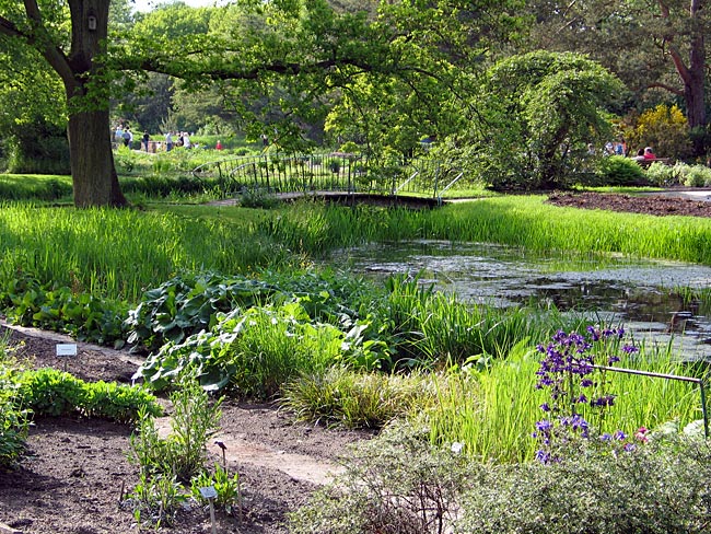 Bremen - Rhododendronpark - Blick in den Park mit kleinem See