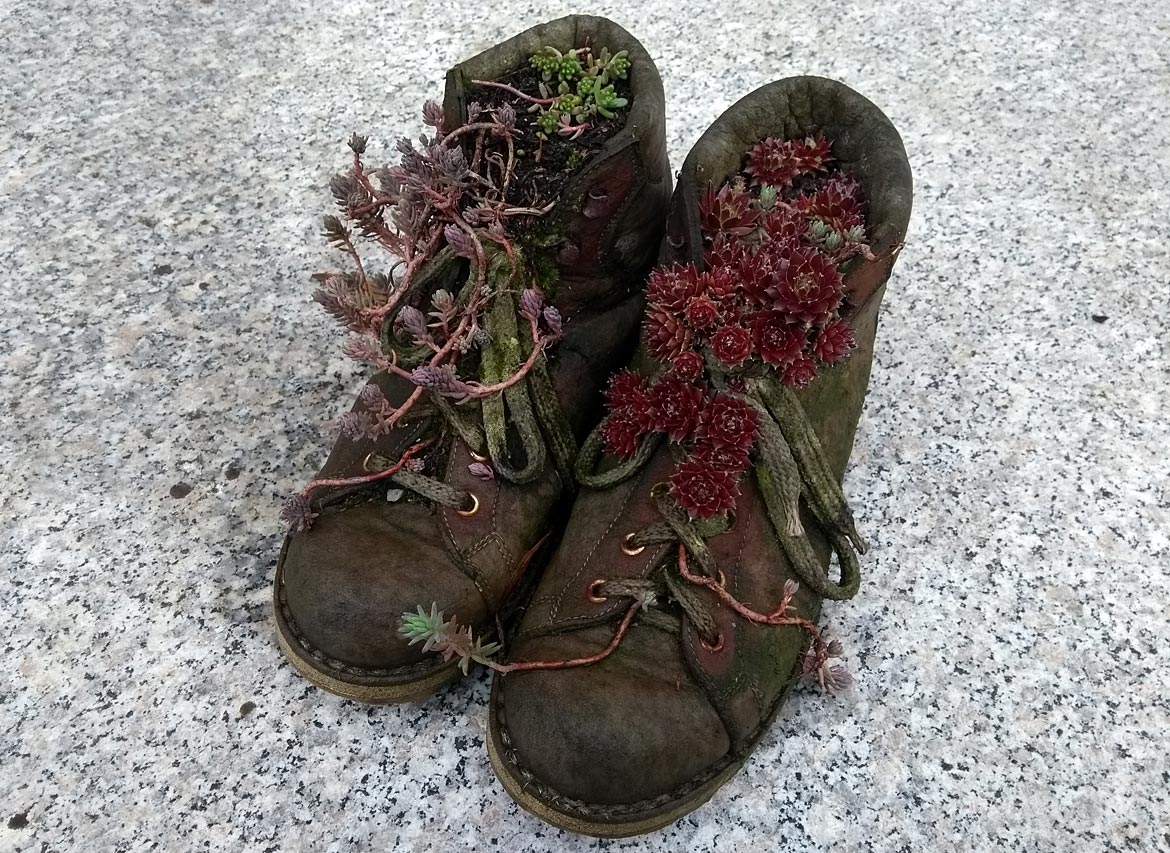 Witzige Idee - bepflanzte Stiefel - Bremen sehenswert