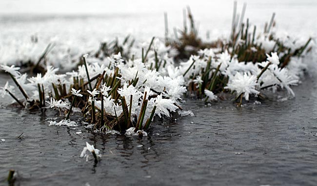 Semkenfahrt -Winter in Bremen - Bremen sehenswert