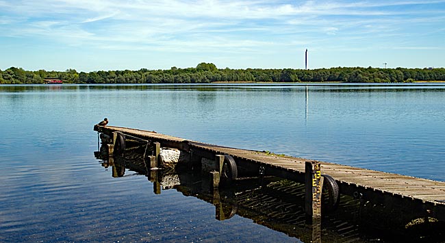 Blick über den Uni-See bzw. Stadtwaldsee - Bremen sehenswert