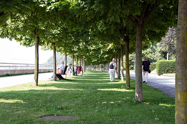 Vegesack - Promenade mit zwei Reihen Ahornbäumen im Stadtgarten - Bremen sehenswert