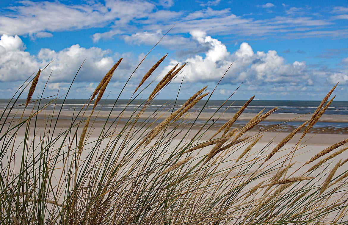 Dünen und Strand auf Wangerooge - Bremen sehenswert