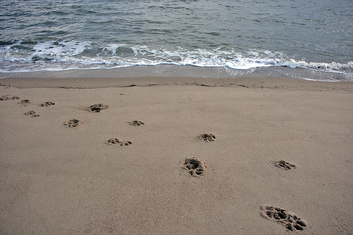 Wilhelmshaven Strand - Bremen sehenswert