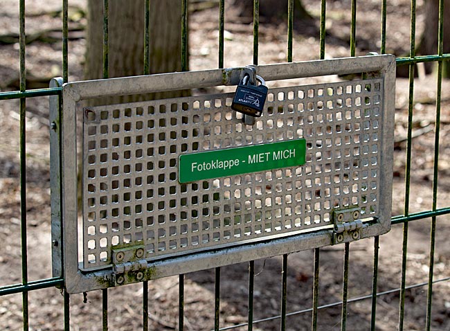 Fotoklappe im Wolfcenter Dörverden bei Verden an der Aller