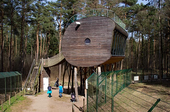 Baumhotel im Wolfcenter Dörverden bei Verden an der Aller